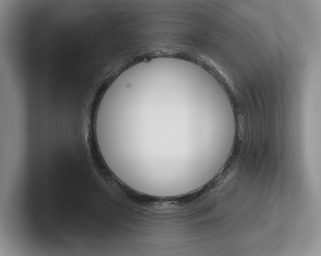 X0000102540451200808081053