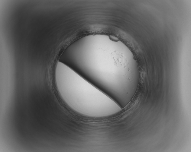 X0000102540454200808081053