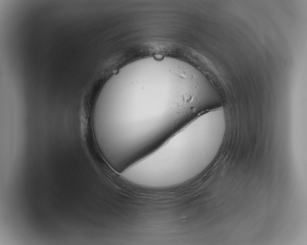 X0000102540456200808081053