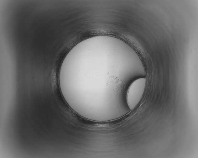 X0000102540457200808081053