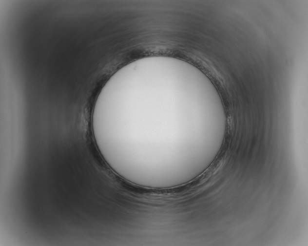 X0000102540458200808081053