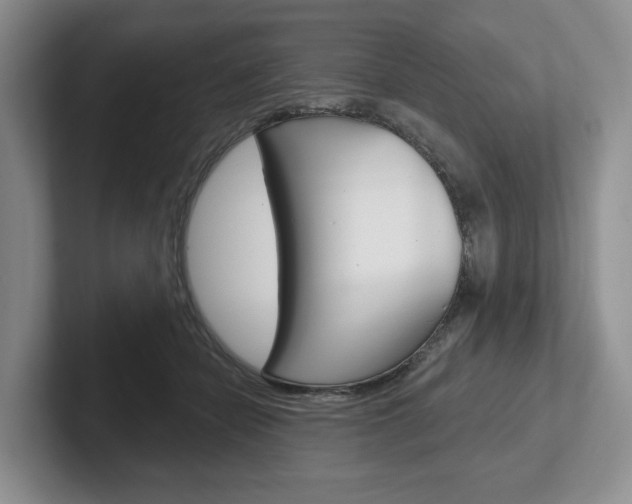 X0000102540462200808081053