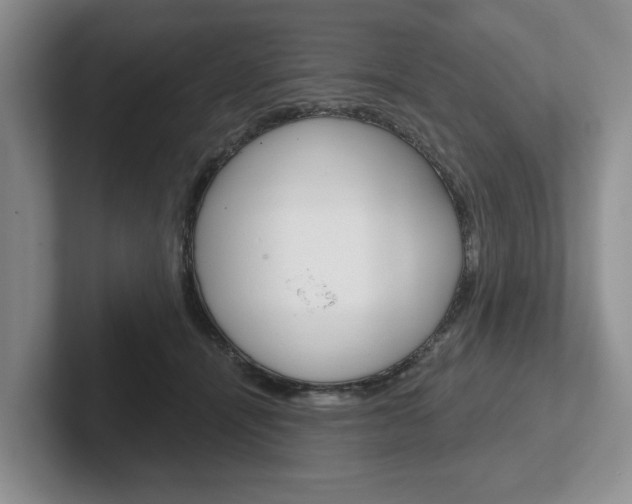 X0000102540464200808081053