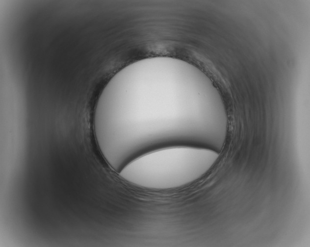 X0000102540466200808081053