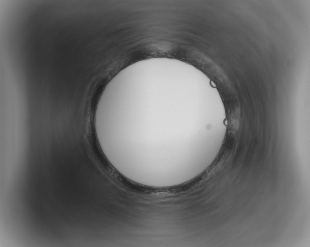 X0000102540468200808081053