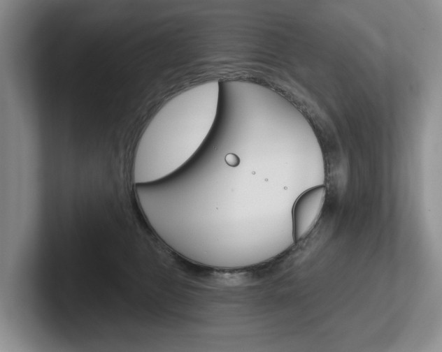 X0000102540469200808081053