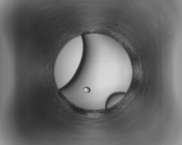 X0000102540470200808081053