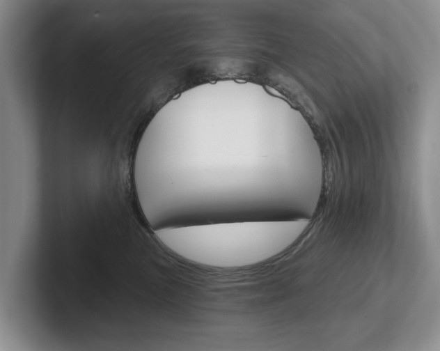 X0000102540473200808081053