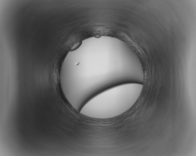 X0000102540474200808081053