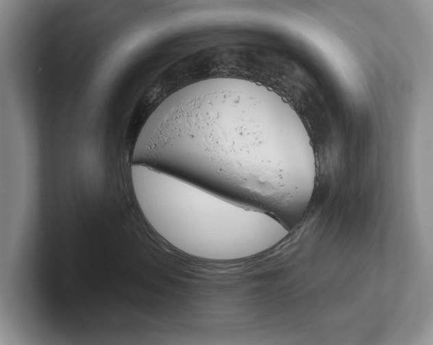 X0000102540479200808081053