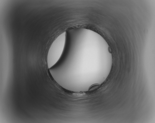 X0000102540480200808081053