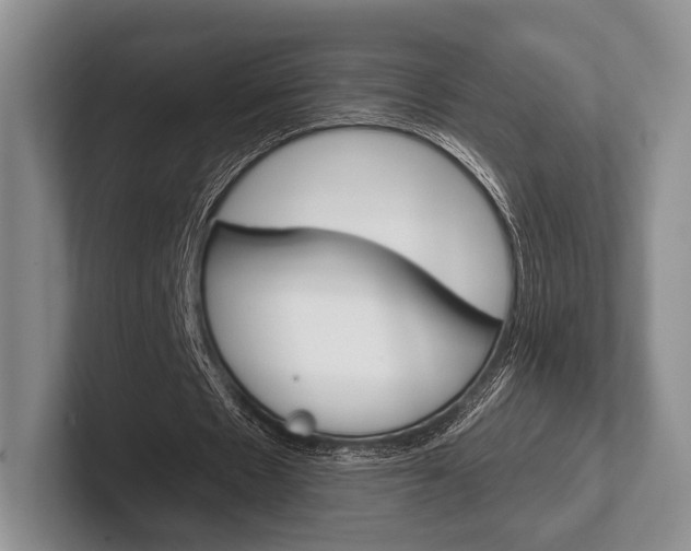 X0000102540481200808081053