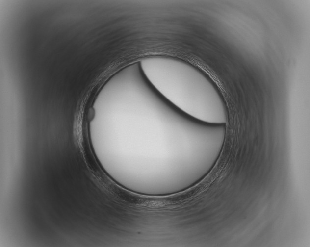 X0000102540482200808081053