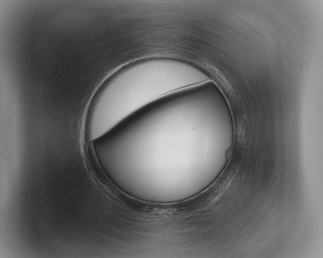 X0000102540484200808081053