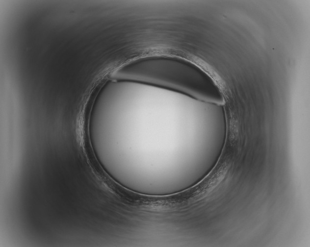 X0000102540485200808081053