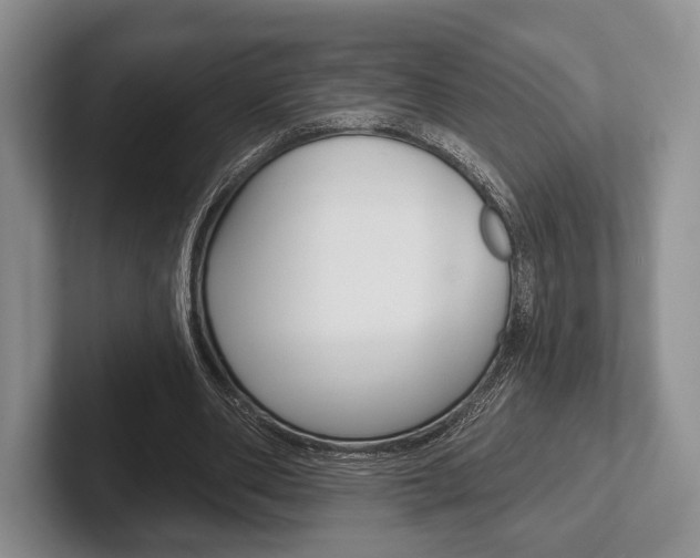 X0000102540486200808081053