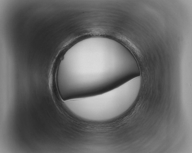 X0000102540488200808081053
