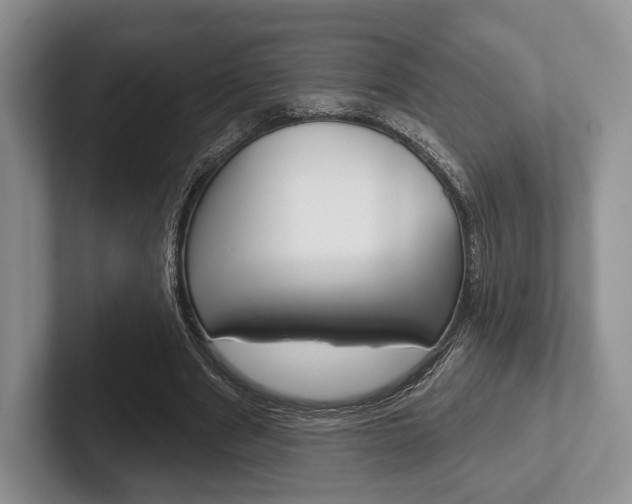 X0000102540489200808081053