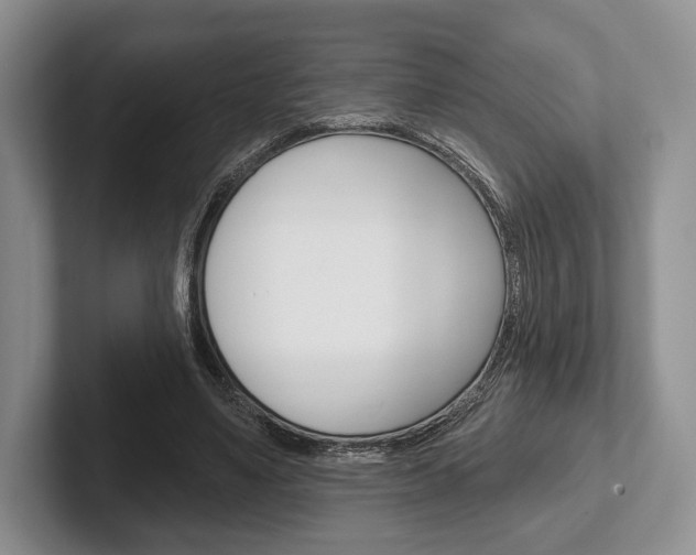 X0000102540491200808081053