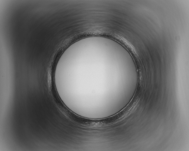 X0000102540493200808081053