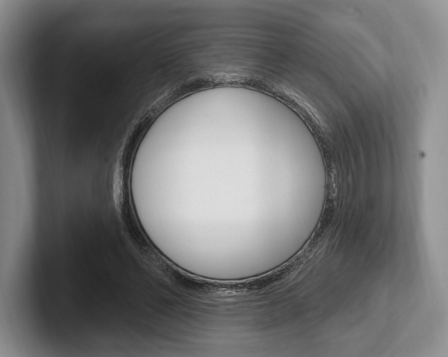 X0000102540494200808081053