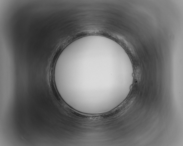 X0000102540495200808081053