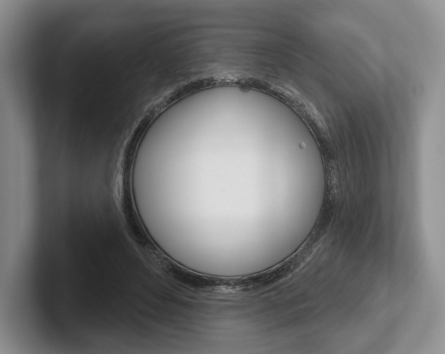 X0000102540496200808081053