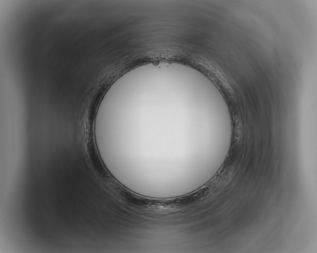 X0000102540498200808081053