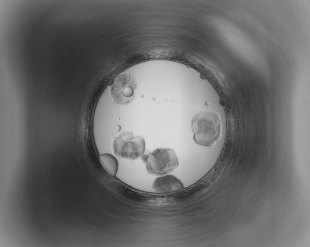 X0000102540499200808081053
