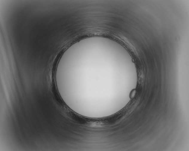 X0000102540500200808081053