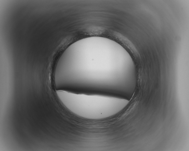 X0000102540501200808081053
