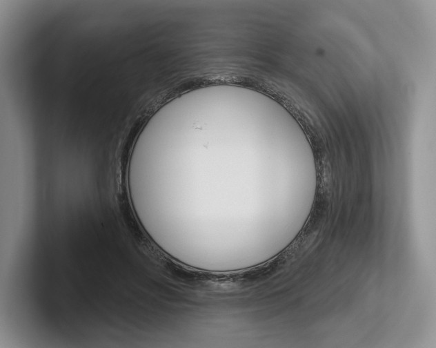X0000102540502200808081053