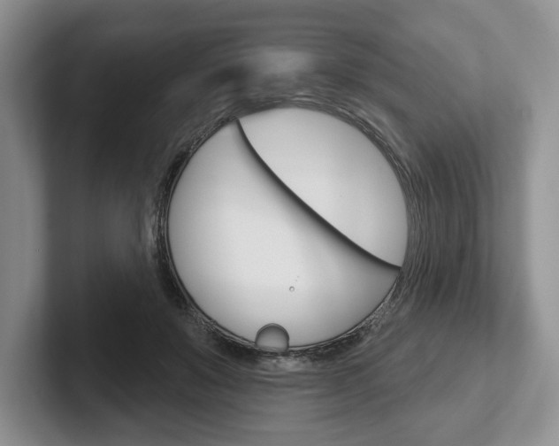 X0000102540503200808081052
