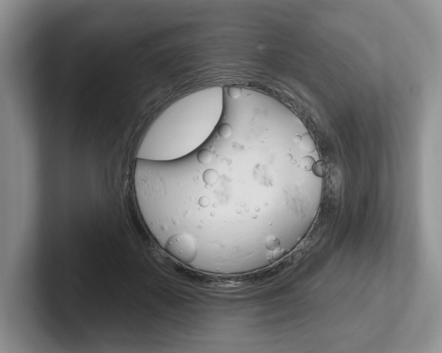 X0000102540507200808081052