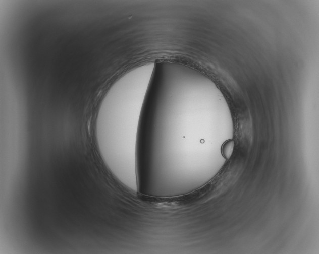 X0000102540508200808081052