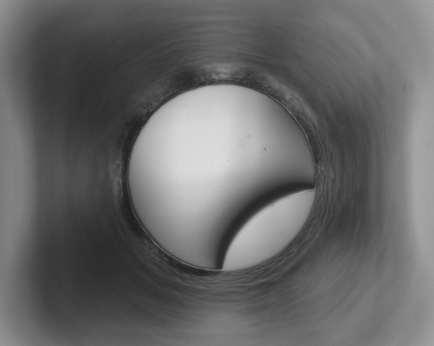 X0000102540509200808081052