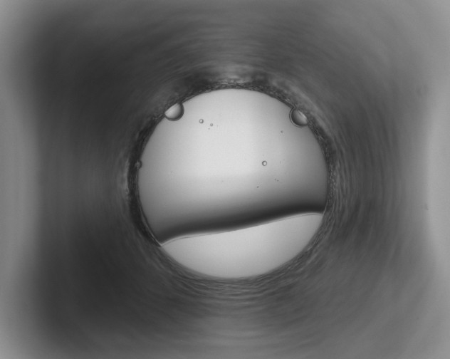 X0000102540512200808081052