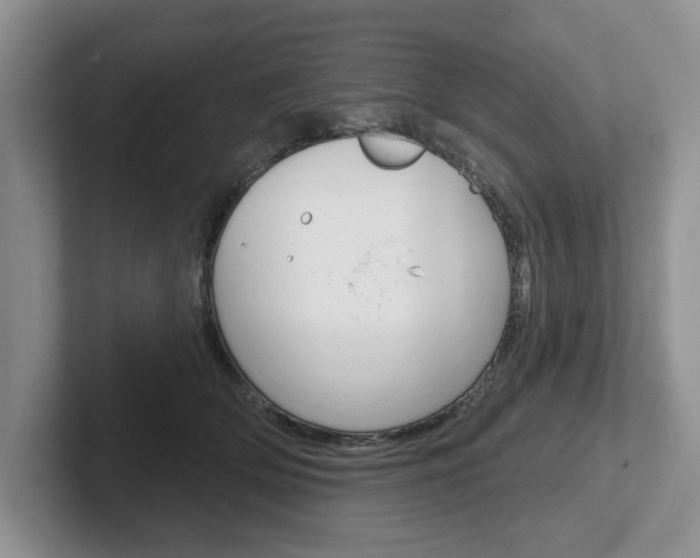 X0000102540514200808081052