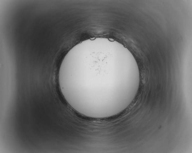 X0000102540515200808081052