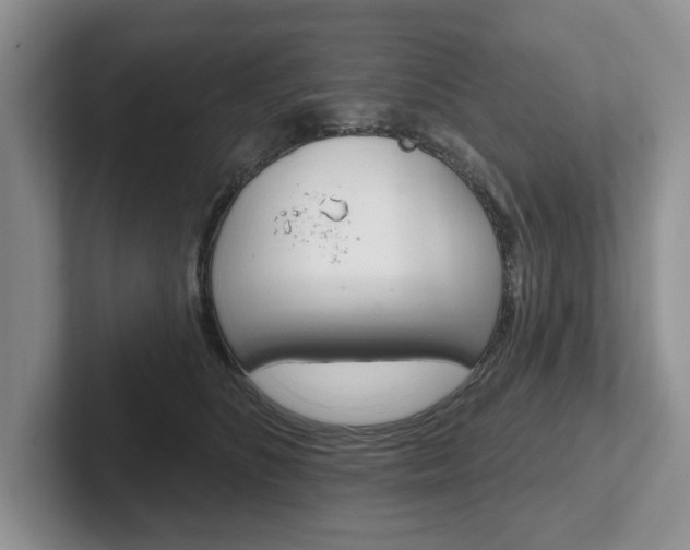 X0000102540516200808081052