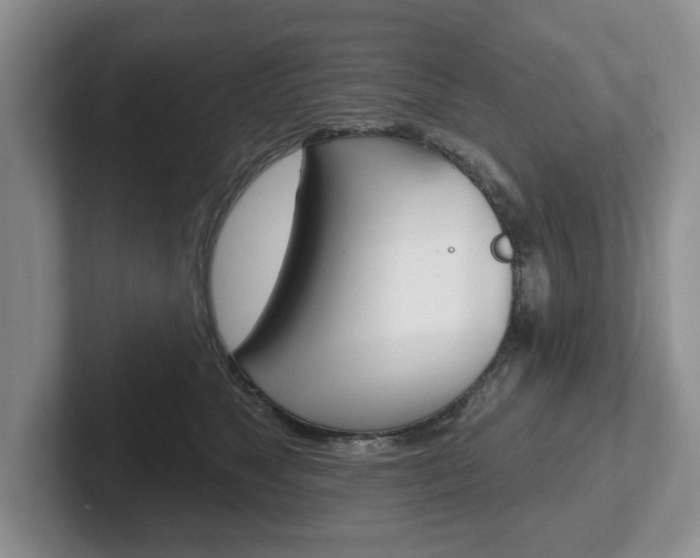 X0000102540517200808081052