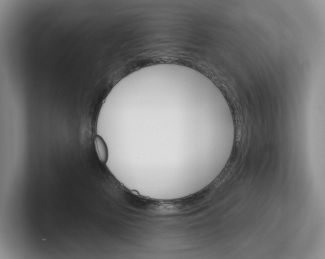 X0000102540518200808081052