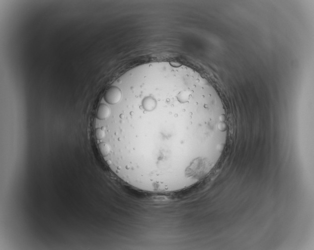 X0000102540519200808081052