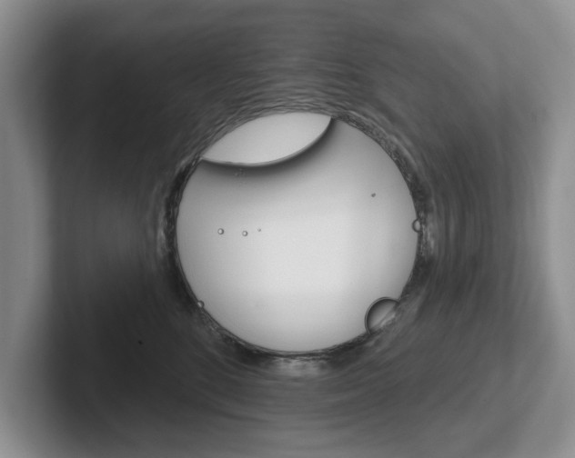 X0000102540520200808081052