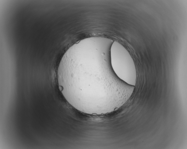 X0000102540523200808081052