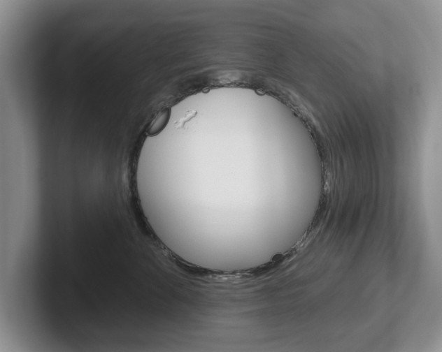 X0000102540524200808081052