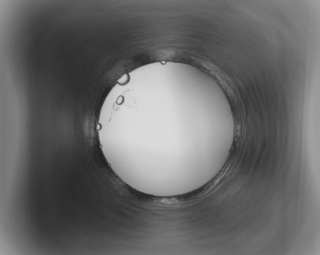 X0000102540525200808081052