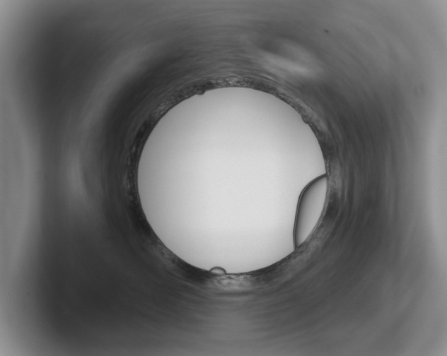 X0000102540526200808081052