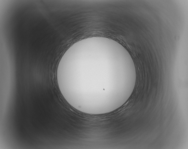 X0000102540528200808081052
