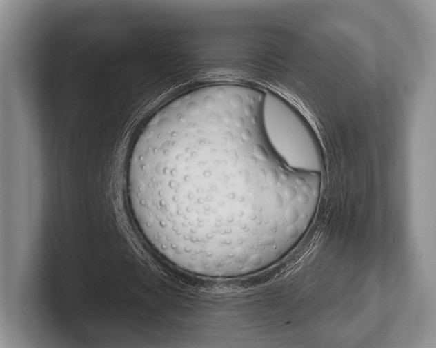 X0000102540529200808081052
